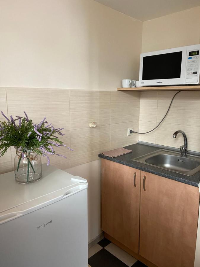 Family Apartment Lviv Kültér fotó